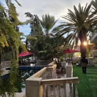 نیروی خانم جهت ظرفشویی کافه