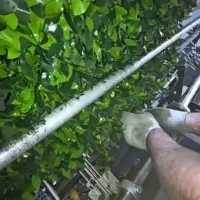 استخدام نیروی فنی