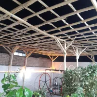 چوب داربست مو تالار انگور باغ ویلا خانه باغ|خدمات باغبانی و درختکاری|کاشان, کارگر|دیوار