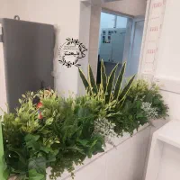 تزئینات بوته ایی وگیاه سبز برای داخل فلاور باکس|گل مصنوعی|تهران, بازار|دیوار