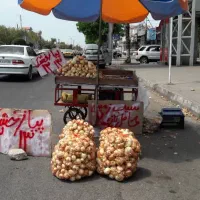 گاری برای فروش