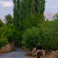 باغ فروشی در شهر سرسبز برزک