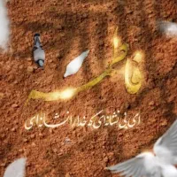 کبوتر گمشده. محدوده مینی سیتی