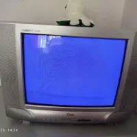 تلوزیون