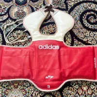 هوگوی تکواندو|تجهیزات ورزشی|اصفهان, شاهد|دیوار