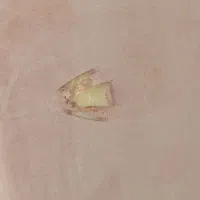 پشتی مارک ایران مبلک|مبلمان خانگی و میز عسلی|ایلام, |دیوار