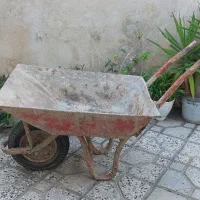 فرغون