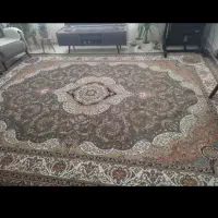 قالی ۱۲ متری در حد نو|فرش|بیرجند, |دیوار