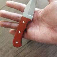 چاقو|کلکسیون اشیاء عتیقه|اصفهان, پوریای ولی|دیوار