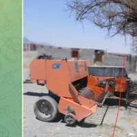 بیلررامش
