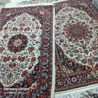 فرش زرنیم بیجار|فرش|همدان, |دیوار