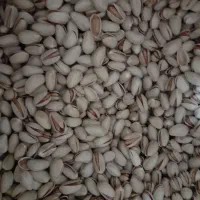 پسته درجه یک