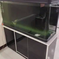 اکواریوم دلسا شرکتی