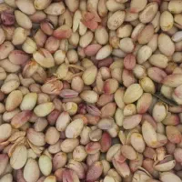 آذرشهر