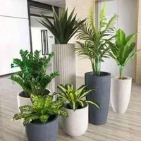 خدمات باغبانی گل کاری هرسکاری و تعویض خاک گلدون
