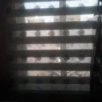 پرده زبرا