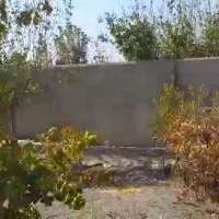 فروش چند قطعه باغچه بدون واسطه با متراژ های مختلف|فروش زمین و ملک کلنگی|تهران, شهرک پاسداران|دیوار