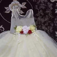 لباس عروس بچه گانه|کفش و لباس بچه|الوند, |دیوار