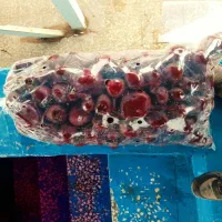 سلام خدمت دوستان عزیز ،صادراتی