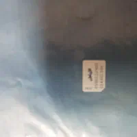 سیمکارت دائمی۰۹۱۳۱۹۳۹۵۸۹