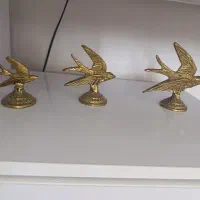 برنز  گل ومسی