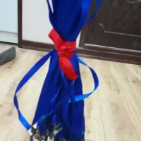 بند کارت آویز گردنی