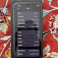 آیفون ۱۲ پرو|موبایل|پرند, فاز ۶|دیوار