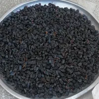 مویز انگور سیاه امسال