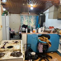 نیم ساعت کار رایگان اولین سفارش نظافت|خدمات نظافت|چالوس, |دیوار