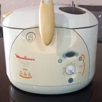 سرخ کن و بخارپز