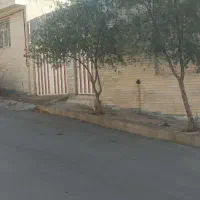 زمین-200متری-واقع-در-کوچه-پردیس-ها-ضامن-اهو