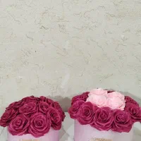 گلهای زیبا|گل مصنوعی|بندر انزلی, سامانسر|دیوار