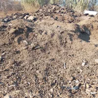 پوش گوسفند|لوازم جانبی حیوانات|آق قلا, |دیوار