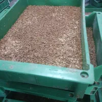 فروش کود کرمملورم