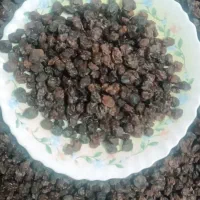 کشمش افتابی|عمده‌فروشی|جغتای, |دیوار