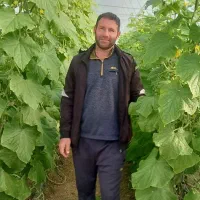 اجاره-گلخانه