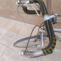 دوچرخه حرفه ای کورسی الگانس|دوچرخه، اسکیت، اسکوتر|گلبهار, شهر جدید گلبهار|دیوار