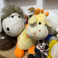 عروسک|اسباب‌بازی بچه|ساری, |دیوار