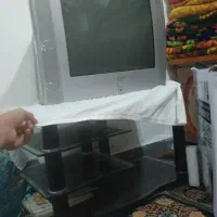 تلویزیون