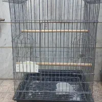 قفس ۱۰۳۳ و قفس قناری