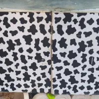 کابینت فلزی دودره