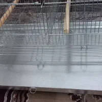 قفس بزرگ|لوازم جانبی حیوانات|شادگان, |دیوار