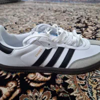 کتونی و کفش|کیف، کفش، کمربند|بروجرد, |دیوار