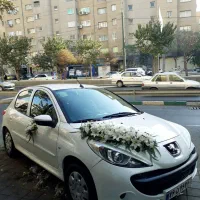 ماشین عروس دسته گل عروس اجاره اتاق عقد|گل و گیاه طبیعی|تهران, بریانک|دیوار