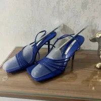 کفش مجلسی ز