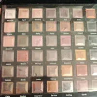 پالت سایه مک