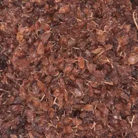 کشمش اعلاء انگور عسکری|خوردنی و آشامیدنی|کرمانشاه, |دیوار