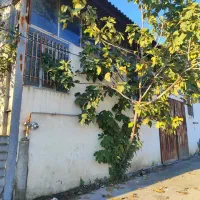 اجاره سوله در دابودشت