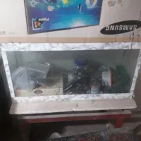آکواریوم سالم