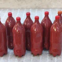رب‌خانگی